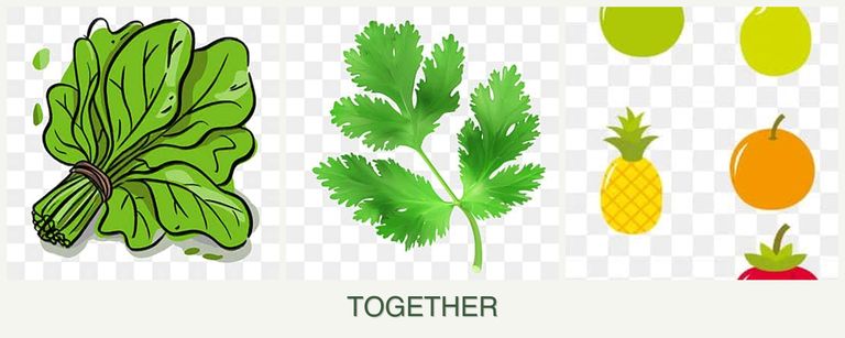Can you plant spinach, parsley and pears together?
