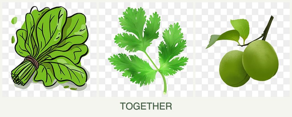 Can you plant spinach, parsley and plums together?