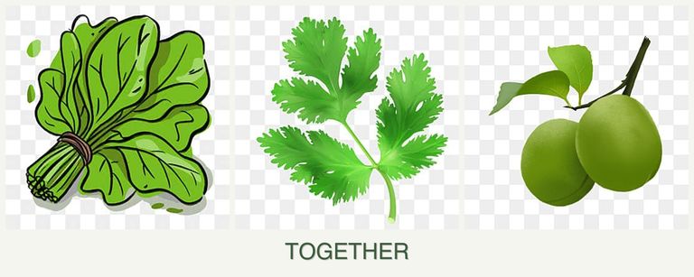Can you plant spinach, parsley and plums together?