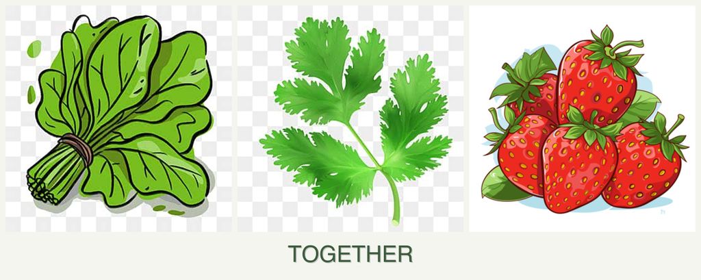 Can you plant spinach, parsley and strawberries together?