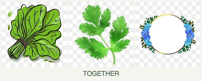 Can you plant spinach, parsley and zinnias together?