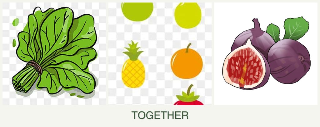 Can you plant spinach, pears and figs together?