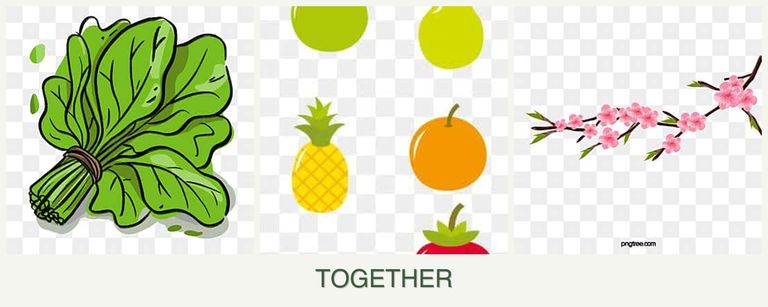 Can you plant spinach, pears and peaches together?