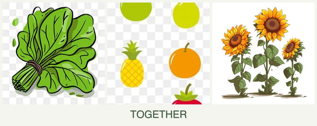Can you plant spinach, pears and sunflowers together?