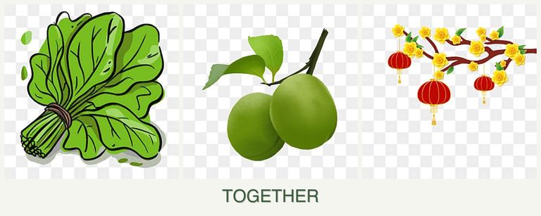 Can you plant spinach, plums and apricots together?