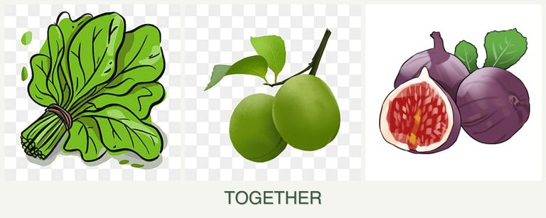Can you plant spinach, plums and figs together?