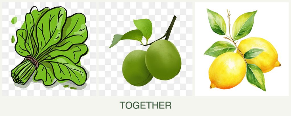 Can you plant spinach, plums and lemons together?
