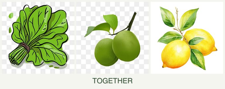 Can you plant spinach, plums and lemons together?