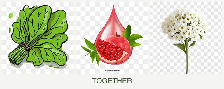 Can you plant spinach, pomegranates and alyssum together?