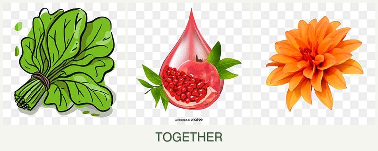 Can you plant spinach, pomegranates and dahlias together?