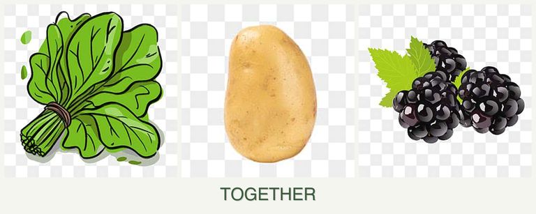 Can you plant spinach, potatoes and blackberries together?