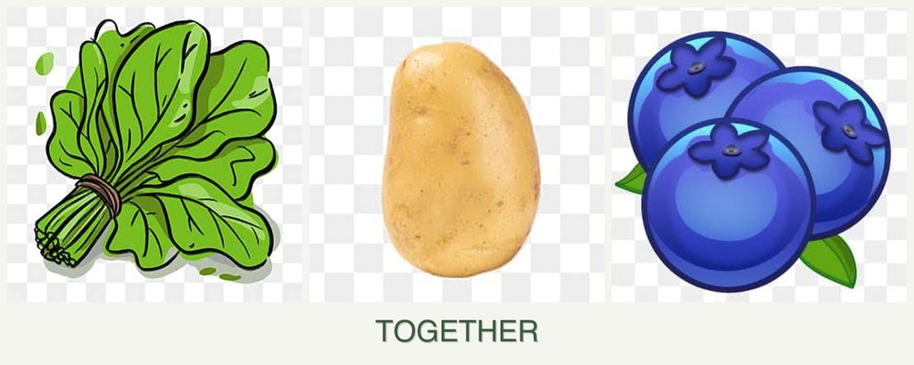 Can you plant spinach, potatoes and blueberries together?