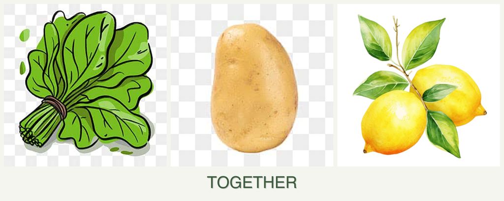 Can you plant spinach, potatoes and lemons together?