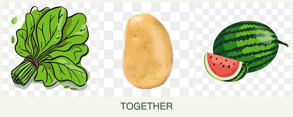 Can you plant spinach, potatoes and melons together?
