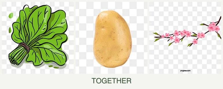 Can you plant spinach, potatoes and peaches together?