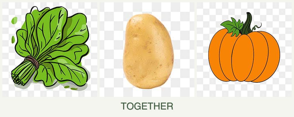 Can you plant spinach, potatoes and pumpkin together?