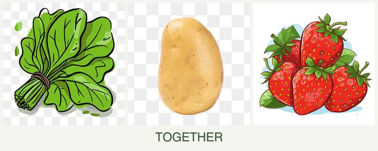 Can you plant spinach, potatoes and strawberries together?