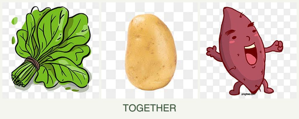 Can you plant spinach, potatoes and sweet potatoes together?
