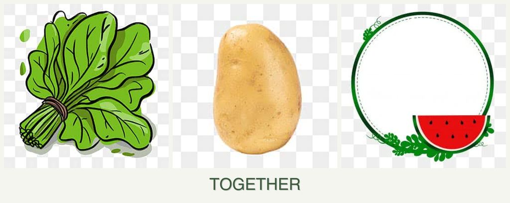 Can you plant spinach, potatoes and watermelons together?
