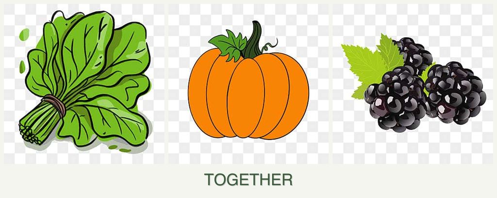 Can you plant spinach, pumpkin and blackberries together?