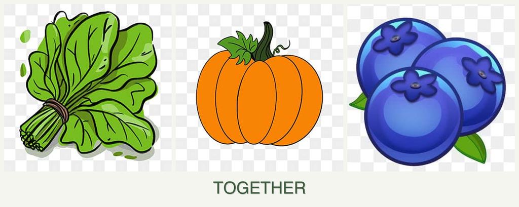 Can you plant spinach, pumpkin and blueberries together?
