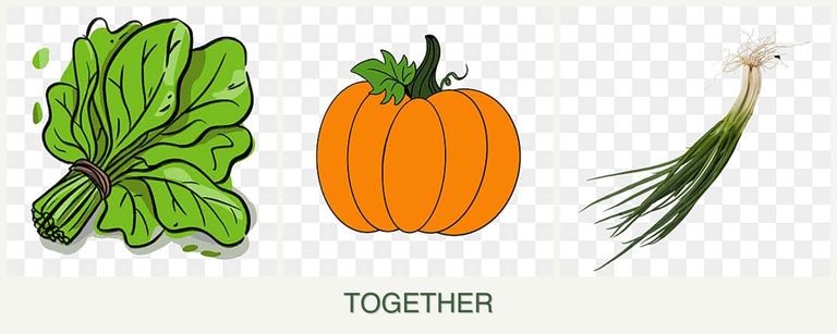 Can you plant spinach, pumpkin and chives together?