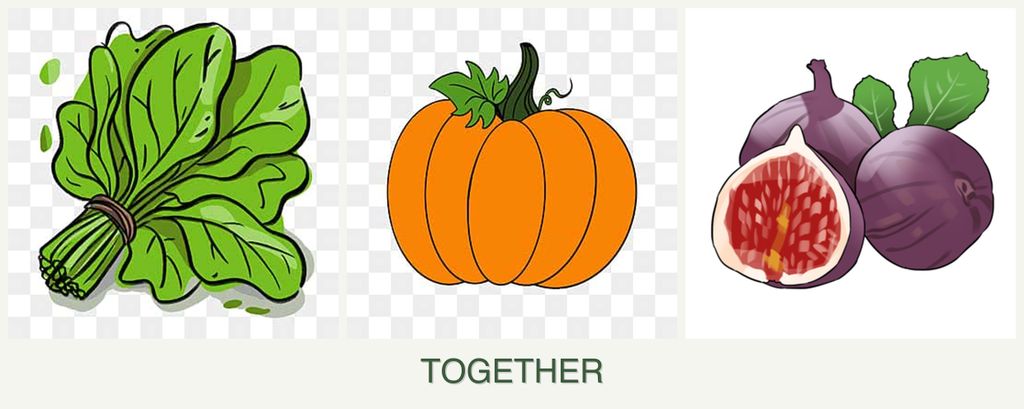 Can you plant spinach, pumpkin and figs together?