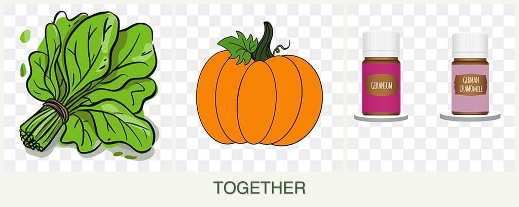 Can you plant spinach, pumpkin and geraniums together?