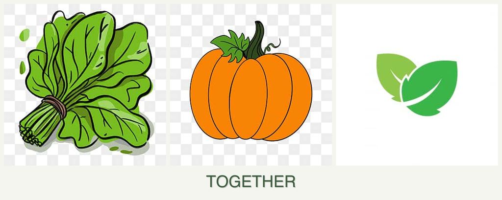 Can you plant spinach, pumpkin and mint together?