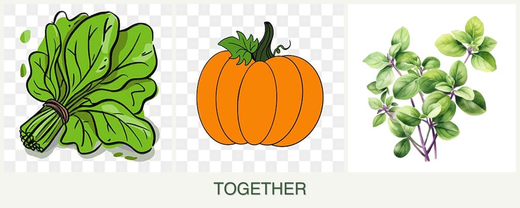 Can you plant spinach, pumpkin and oregano together?