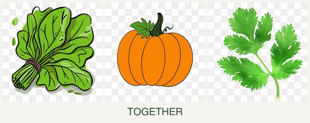 Can you plant spinach, pumpkin and parsley together?
