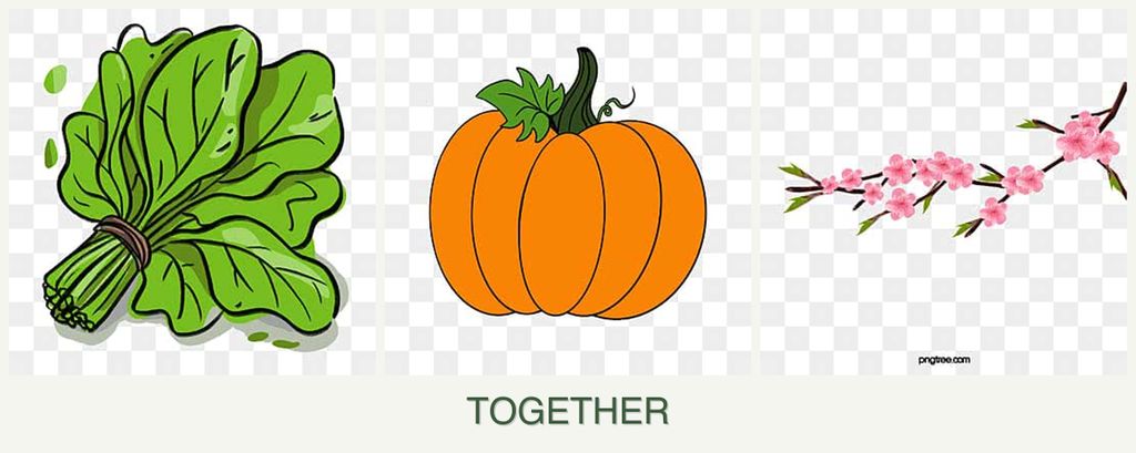 Can you plant spinach, pumpkin and peaches together?