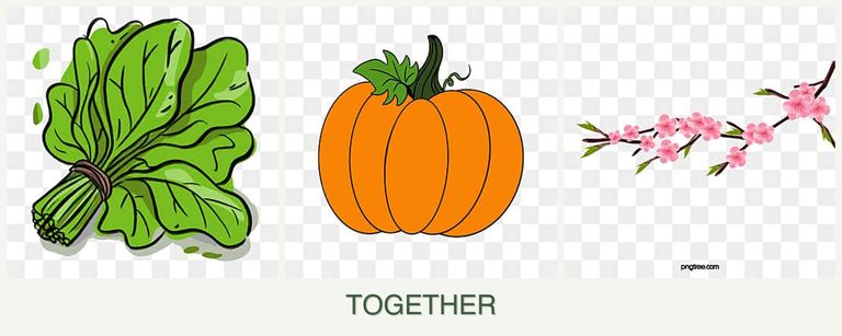 Can you plant spinach, pumpkin and peaches together?