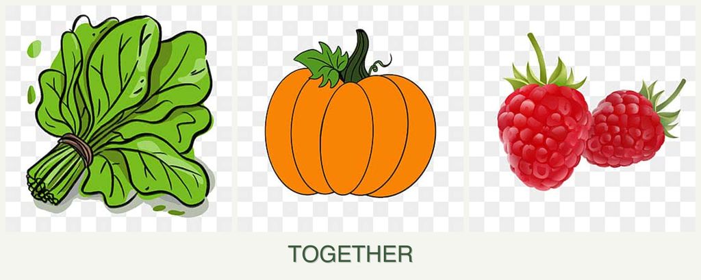 Can you plant spinach, pumpkin and raspberries together?
