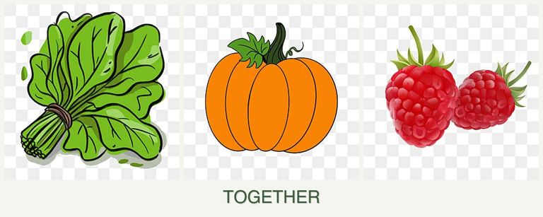 Can you plant spinach, pumpkin and raspberries together?