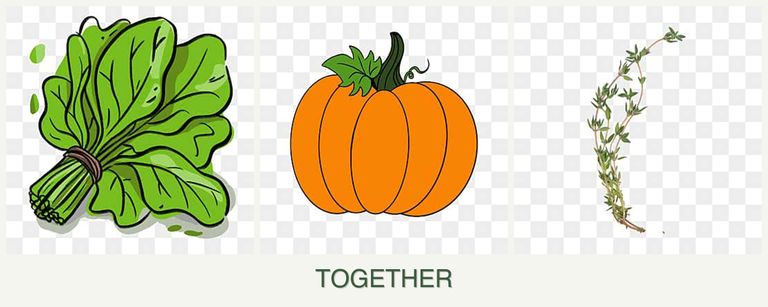 Can you plant spinach, pumpkin and thyme together?