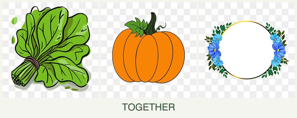 Can you plant spinach, pumpkin and zinnias together?