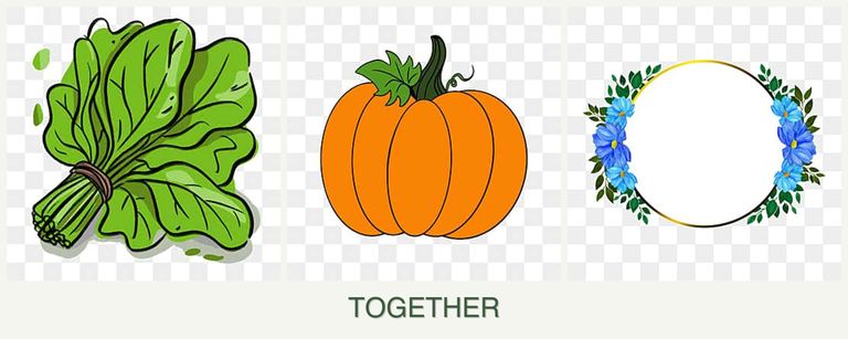 Can you plant spinach, pumpkin and zinnias together?