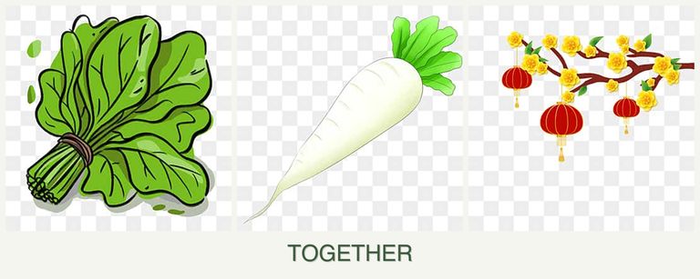 Can you plant spinach, radishes and apricots together?