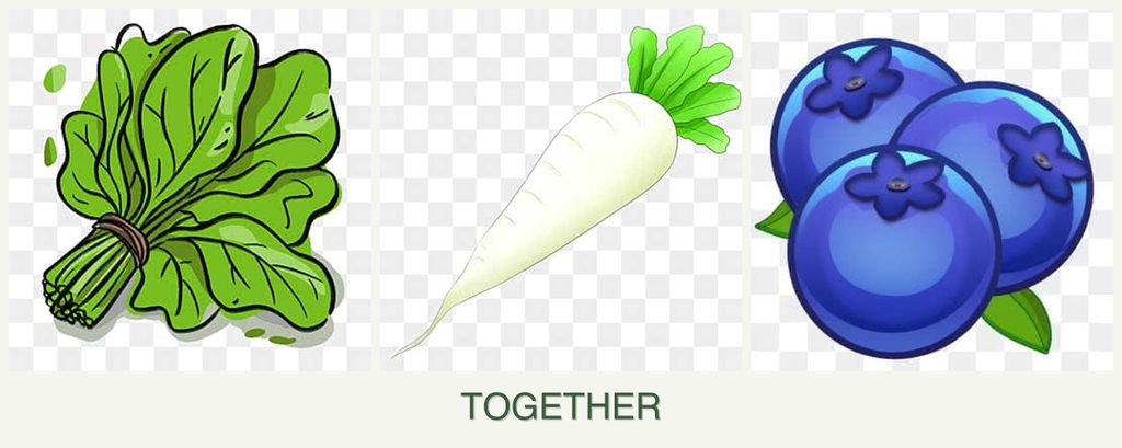 Can you plant spinach, radishes and blueberries together?