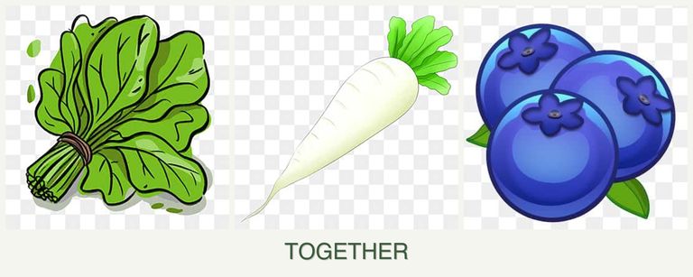 Can you plant spinach, radishes and blueberries together?