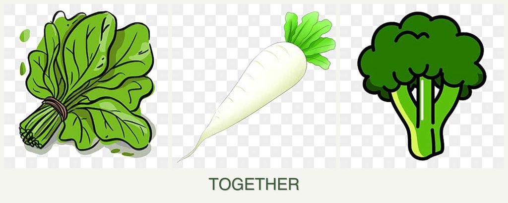 Can you plant spinach, radishes and broccoli together?