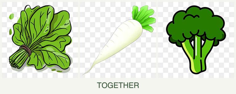 Can you plant spinach, radishes and broccoli together?