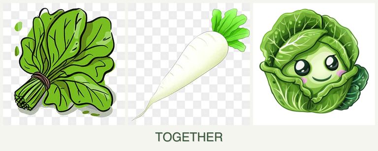 Can you plant spinach, radishes and cabbage together?