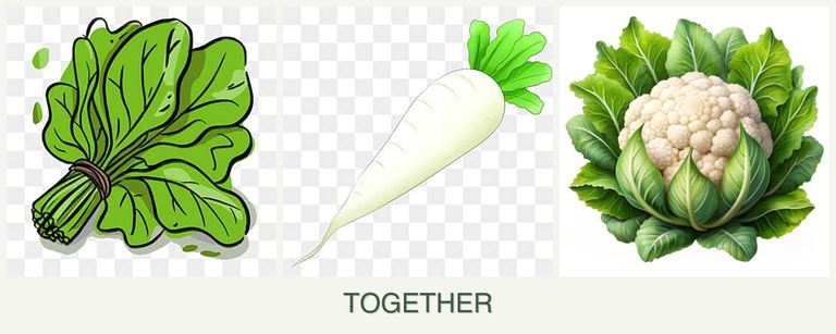 Can you plant spinach, radishes and cauliflower together?