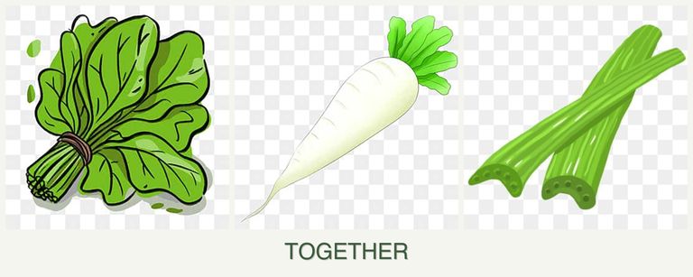 Can you plant spinach, radishes and celery together?