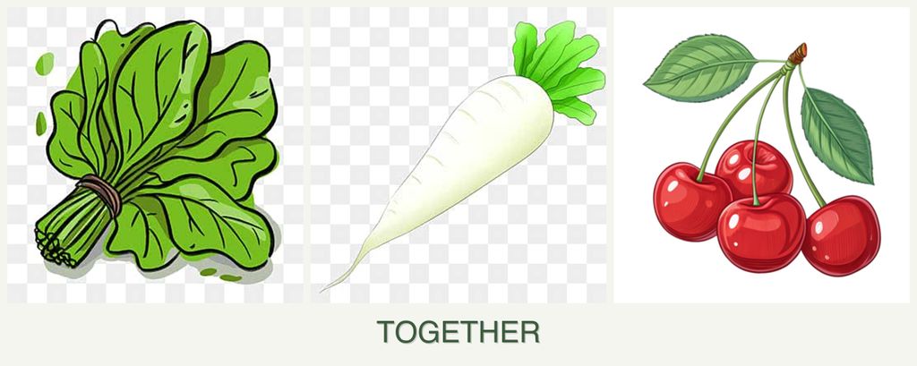 Can you plant spinach, radishes and cherries together?