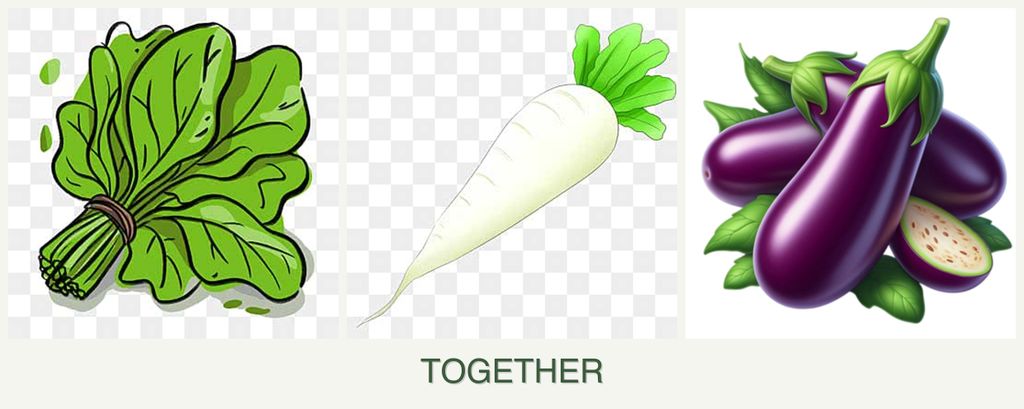 Can you plant spinach, radishes and eggplant together?