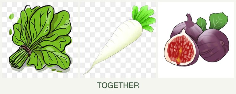 Can you plant spinach, radishes and figs together?