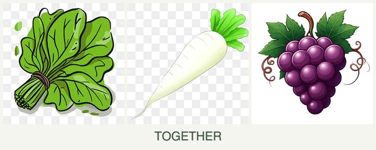 Can you plant spinach, radishes and grapes together?